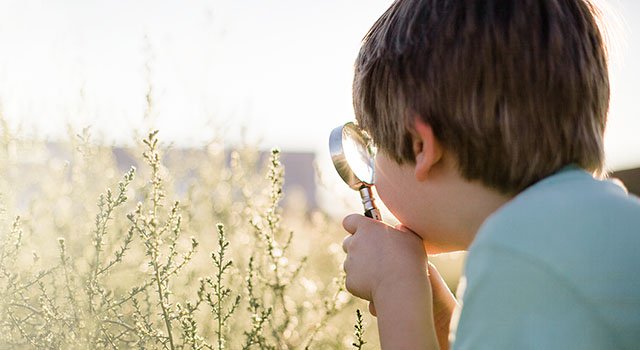 Financial Guidance: Your Options